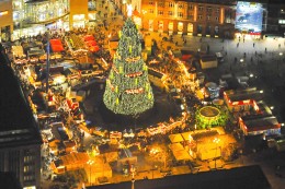 
			Weihnachtszauber: Tanne von Crange: Streit um größten Weihnachtsbaum der Welt