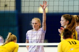 
			Volleyball: VC Allbau Essen will souveränen Spitzenreiter ärgern 