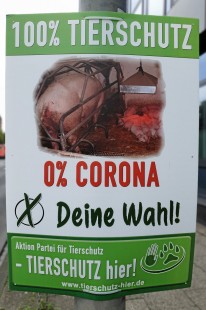 Wahlkampf In Gelsenkirchen Viel Altbekanntes Im Plakatwald Waz De