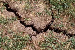 
			Umwelt: Experten fordern mehr Schutz von Böden